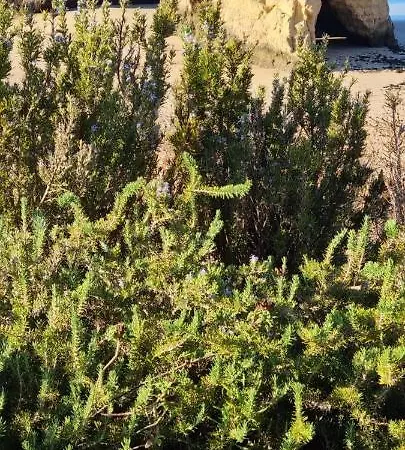 Casa Doce Quinta Dos Arcos