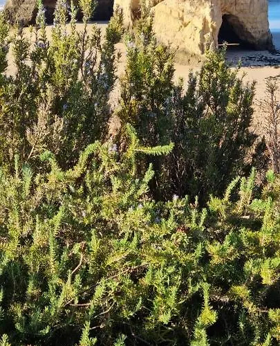 Casa Doce Quinta Dos Arcos